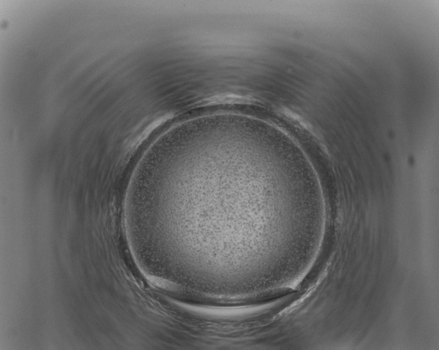 X0000064771313200602131306