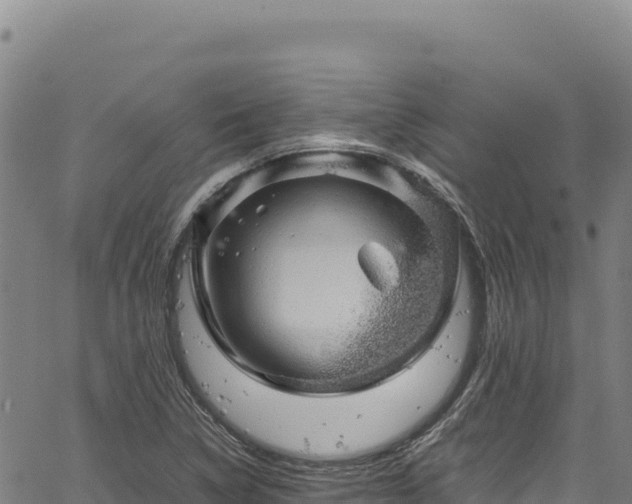 X0000064771314200602131306