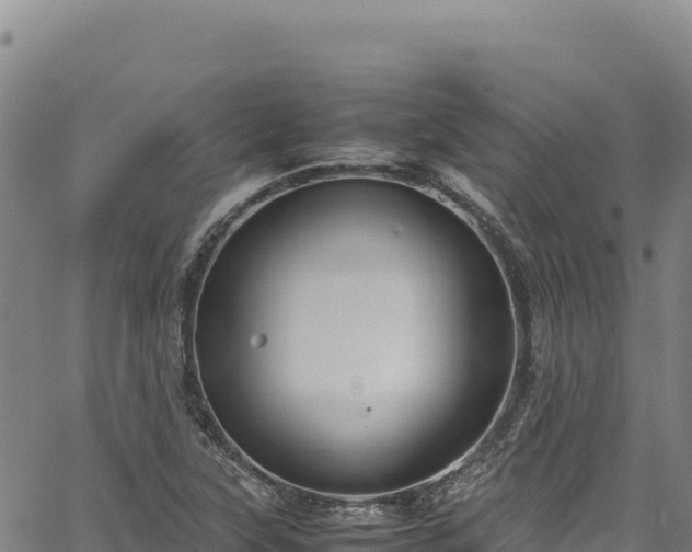 X0000064771315200602131306