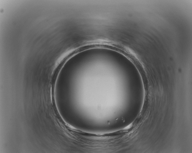 X0000064771320200602131307