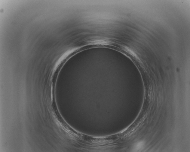 X0000064771323200602131307