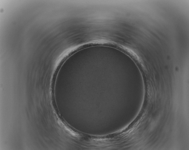 X0000064771327200602131307