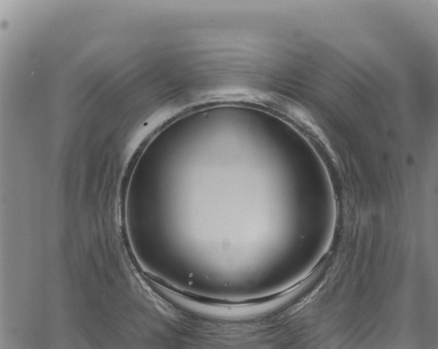 X0000064771328200602131307