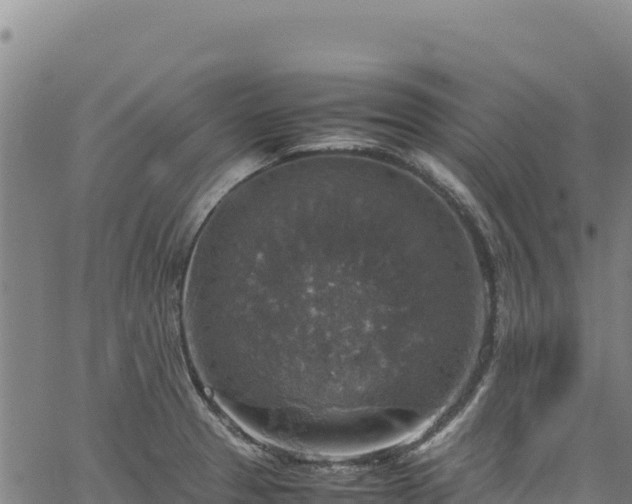 X0000064771329200602131307