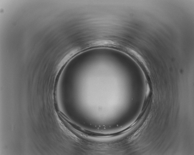 X0000064771330200602131307