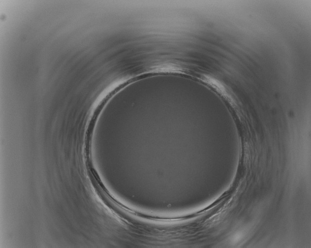 X0000064771331200602131307