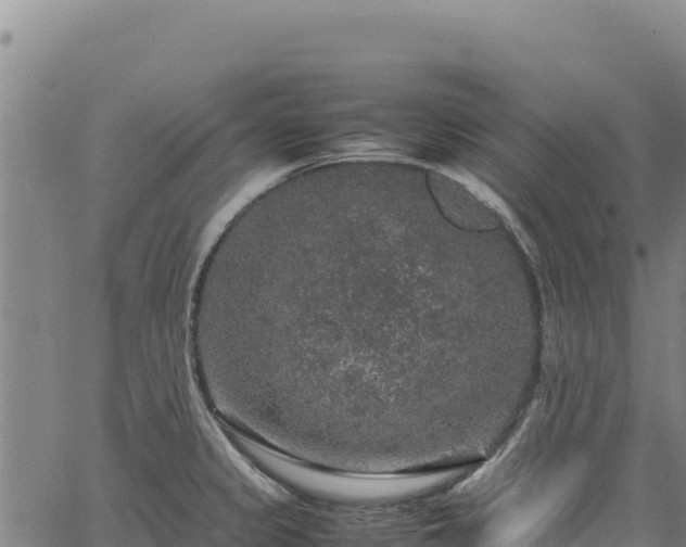 X0000064771333200602131307