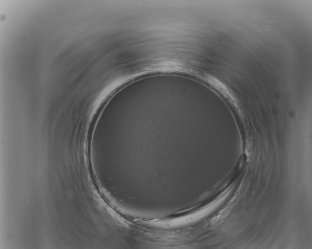 X0000064771334200602131307