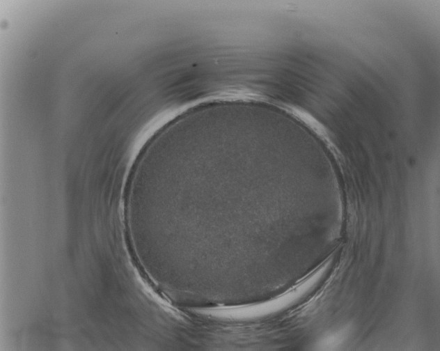 X0000064771335200602131307