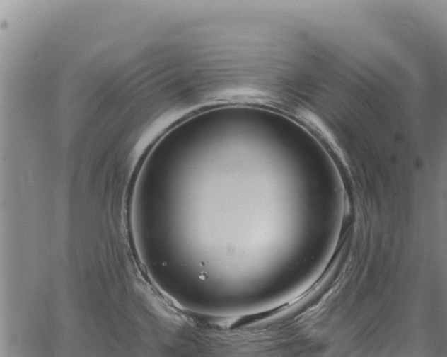 X0000064771336200602131307