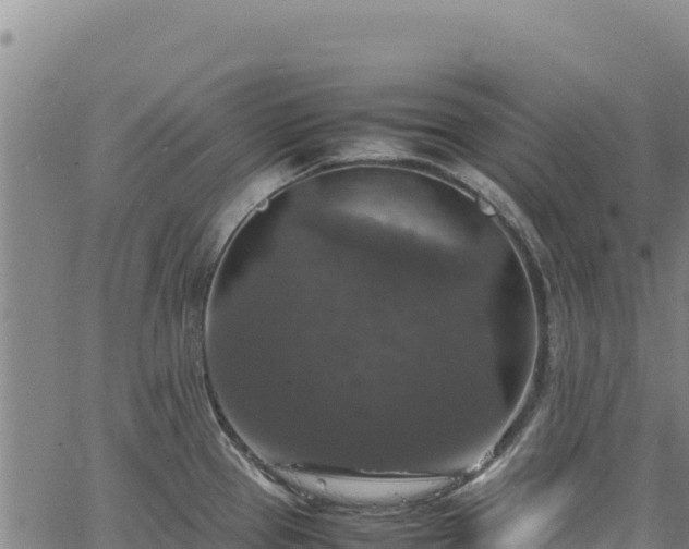 X0000064771337200602131307