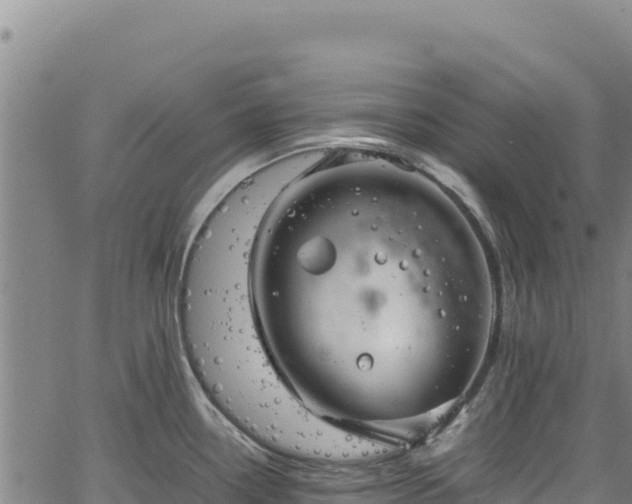 X0000064771338200602131307