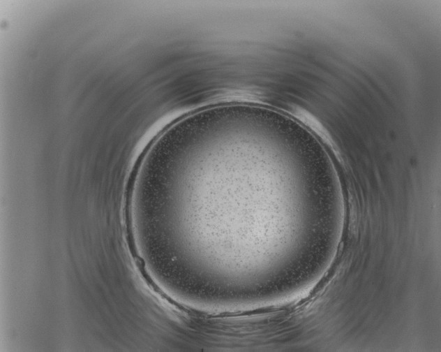 X0000064771339200602131307