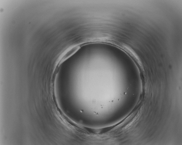 X0000064771340200602131307