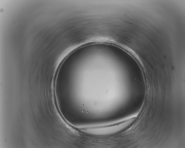 X0000064771343200602131307