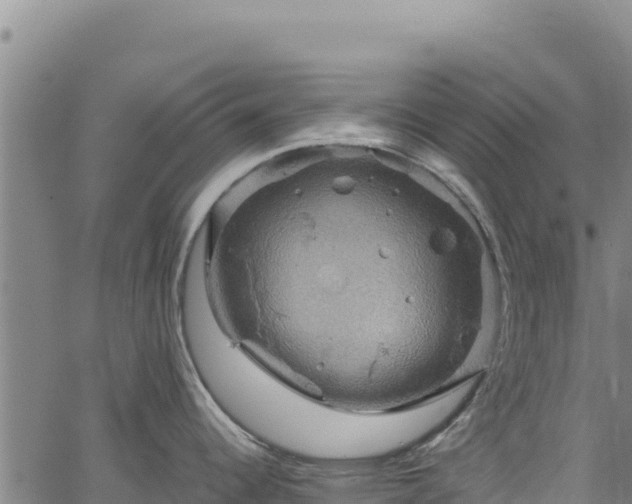 X0000064771344200602131307