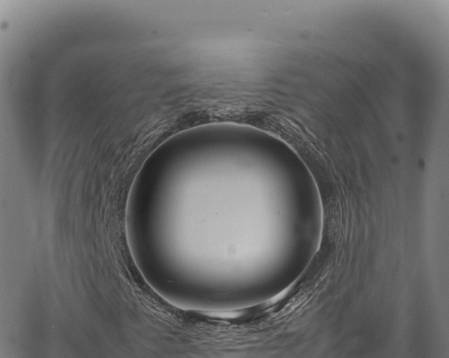 X0000064771345200602131306