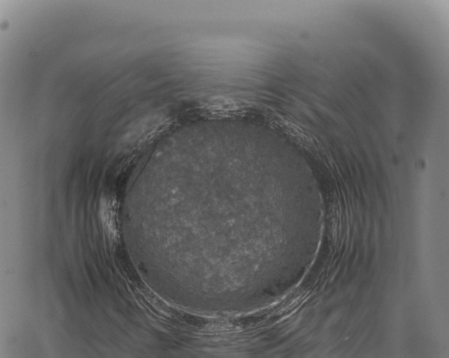 X0000064771346200602131306