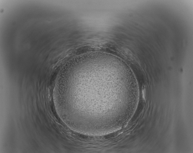 X0000064771347200602131306