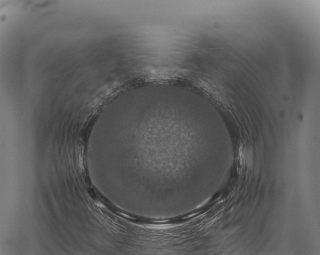 X0000064771348200602131306