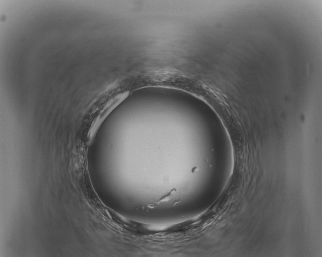 X0000064771349200602131306