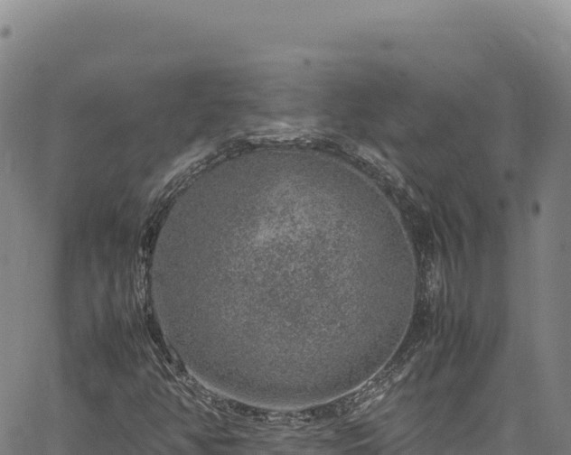 X0000064771350200602131306