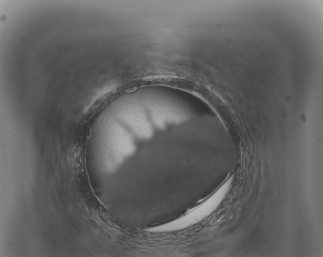 X0000064771351200602131306