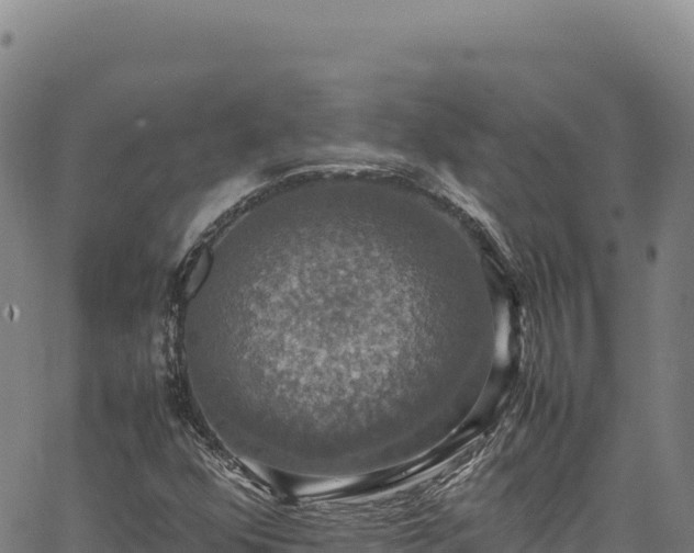 X0000064771352200602131306