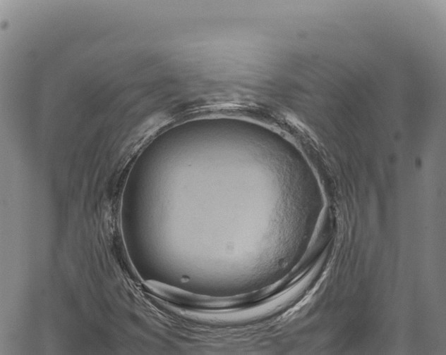 X0000064771353200602131306