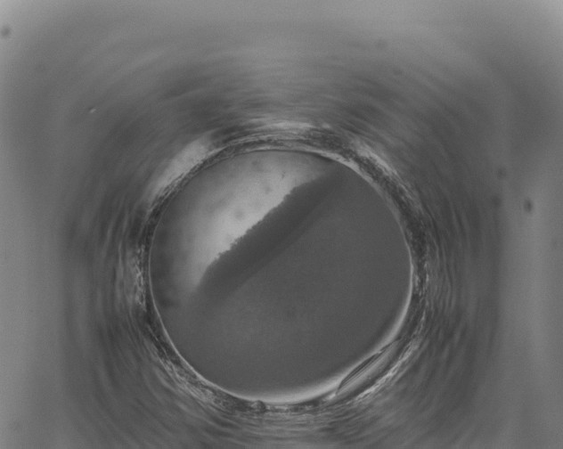 X0000064771354200602131306