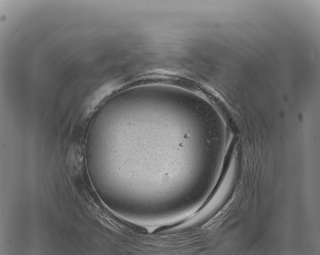 X0000064771355200602131306