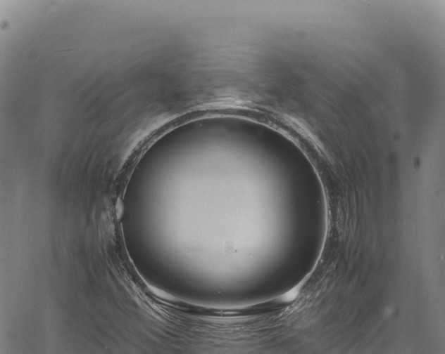 X0000064771356200602131306