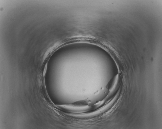 X0000064771357200602131306