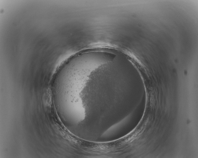 X0000064771358200602131306