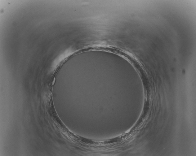 X0000064771359200602131306