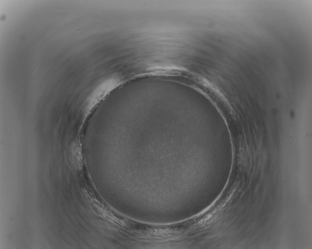 X0000064771362200602131306