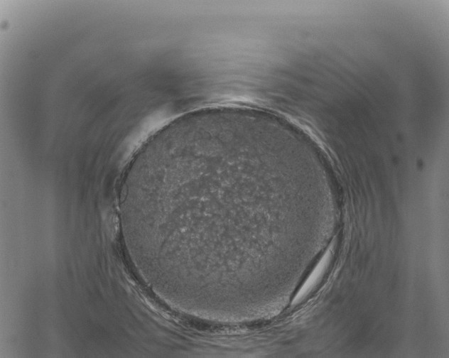 X0000064771363200602131306