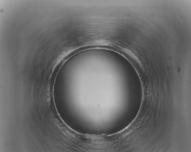 X0000064771364200602131306