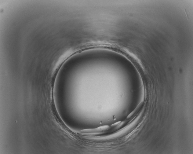 X0000064771365200602131306