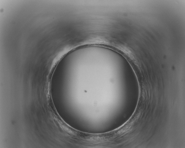 X0000064771366200602131306