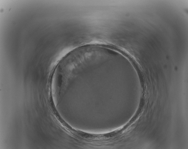 X0000064771367200602131306