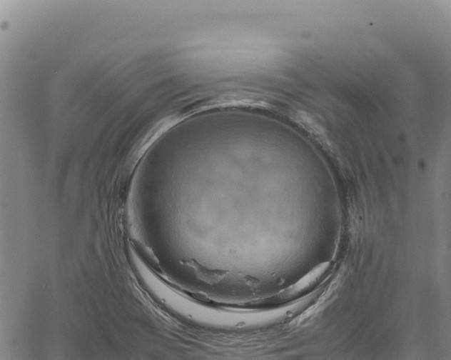 X0000064771369200602131306