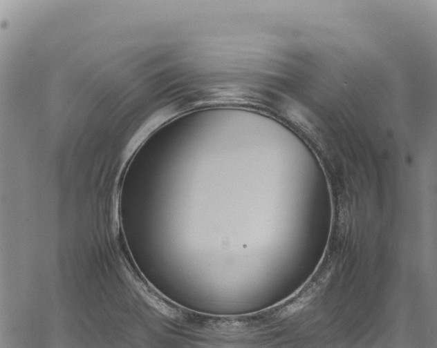 X0000064771370200602131306