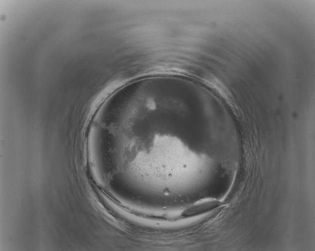 X0000064771371200602131306