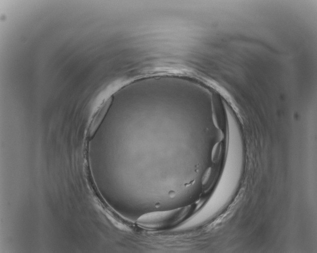 X0000064771373200602131306