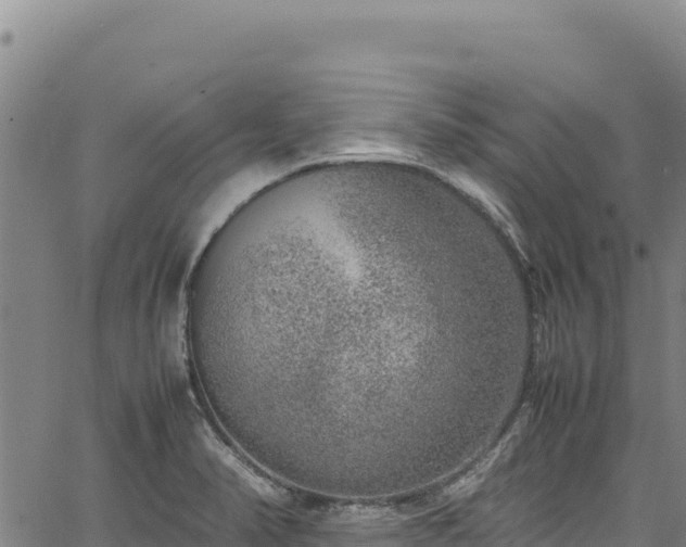 X0000064771374200602131306