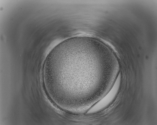 X0000064771375200602131306