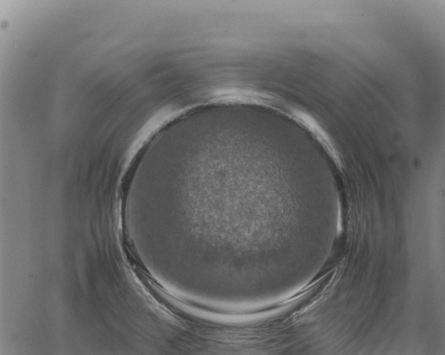 X0000064771376200602131306