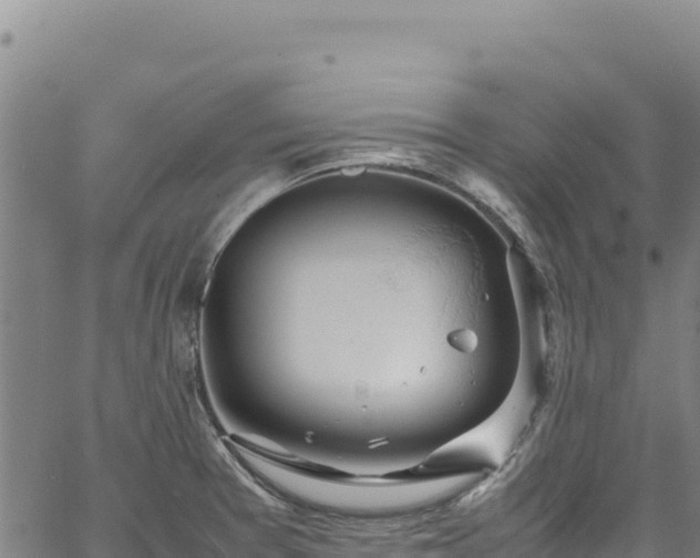 X0000064771377200602131306