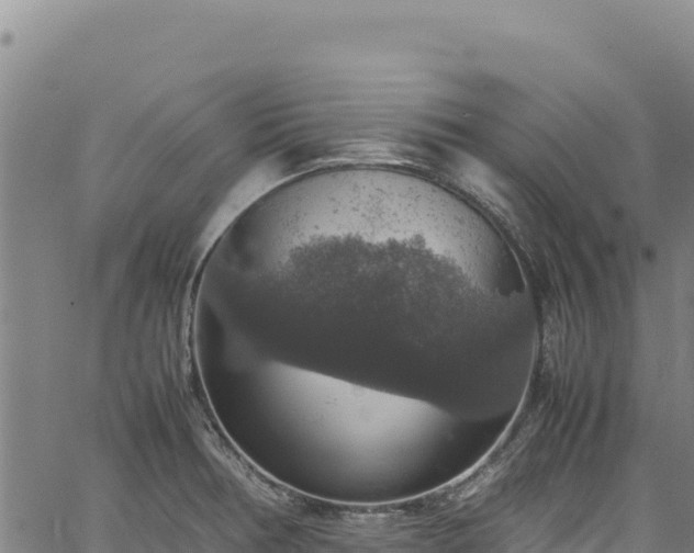 X0000064771378200602131306